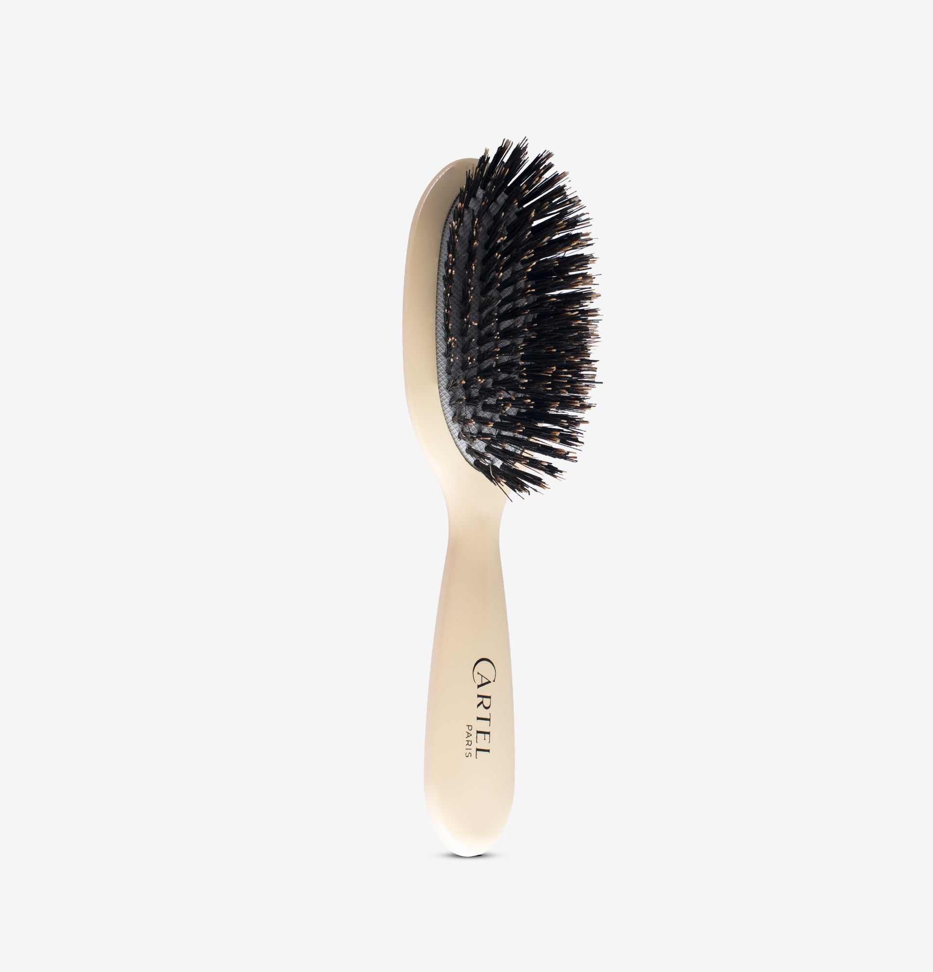 Brosse à Craie TWO STONES – Poils Sanglier Ultra Durs, Poignée Ergonomique, 11840 Poils, Pour Escalade Murale