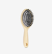 Brosse Cushion Brushing CARTEL avec poils de sanglier et coussin ventilé, référence BMPMBE