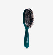 Small Shine Hairbrush