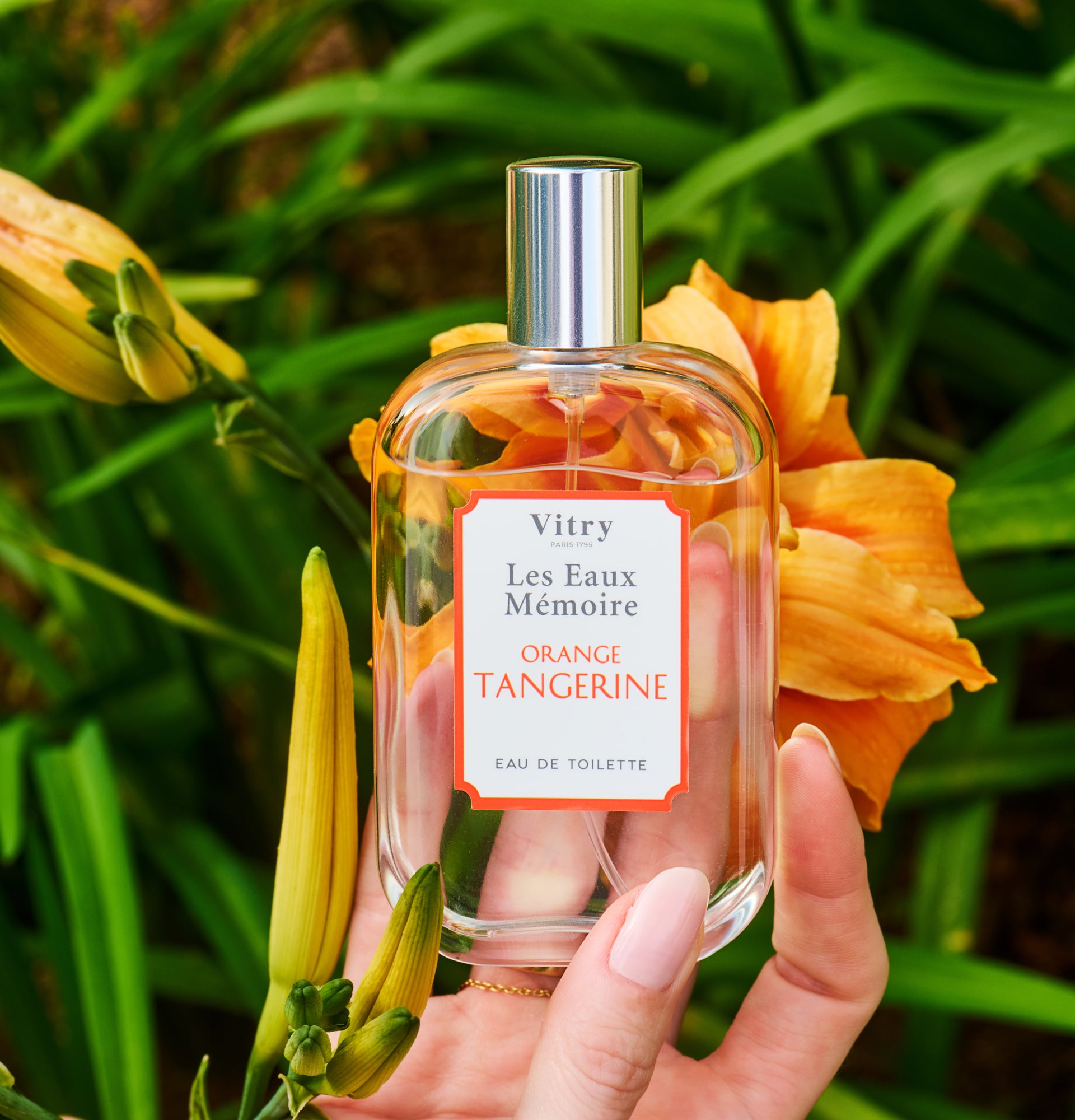 eau de toilette orange tangerine
